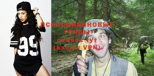 ешки Новокубанск