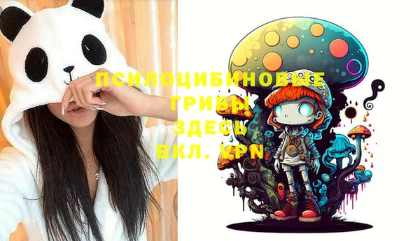 молекула духа Нягань