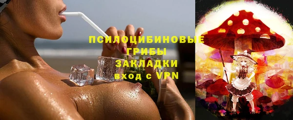 винт Новозыбков