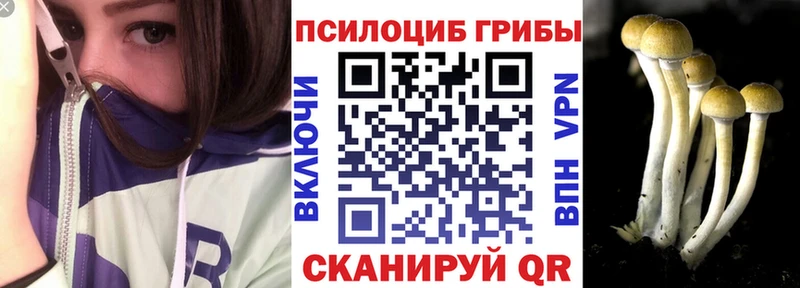 Купить закладки  Ставрополь  Галлюциногенные грибы Cubensis 